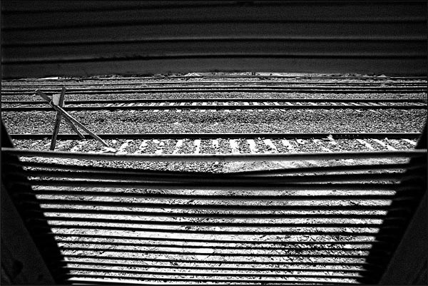 فرزین شادمهر – عکس ۷