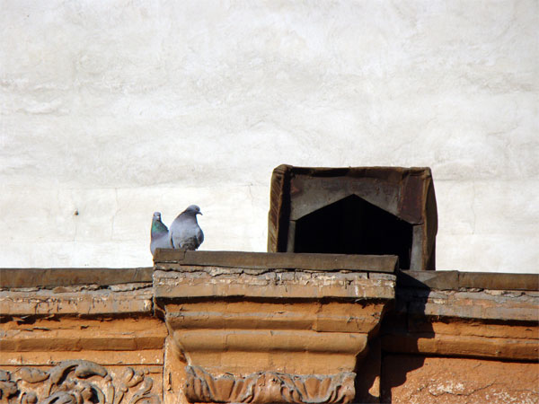 محمد علی رشیدی منفرد