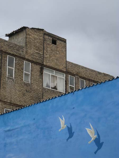 کوثر محمود نژاد