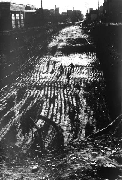 ناصر امامی نیکجه – عکس ۲