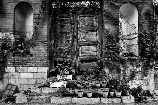 پیمان غزنینی،عکس سوم