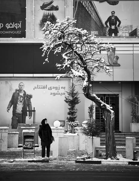 صادق رحمانی – عکس ۵