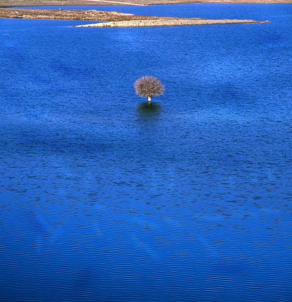 امید آقایی – عکس ۱