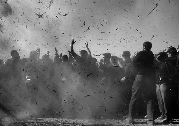 مهدی هنرجویان