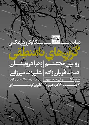 نمایشگاه گروهی عکس «گزاره‌های نامنطقی» در بندرعباس