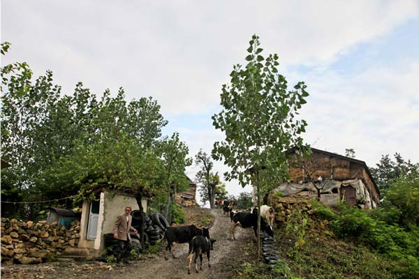 روستای زیبای ویتله – عکس ۴