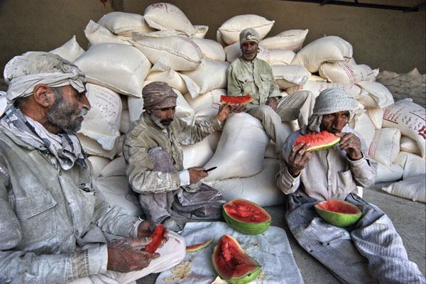 جمشید فرجوند فردا – عکس ۷