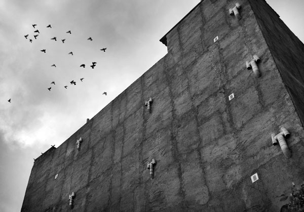 فردین نظری – عکس ۳