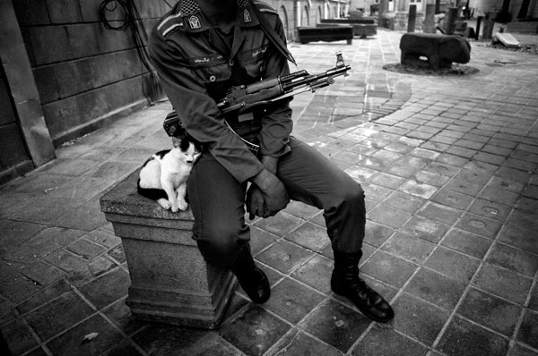 جلال شمس آذران – عکس ۱۱