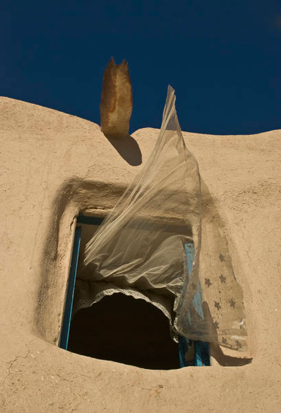 امید شکری