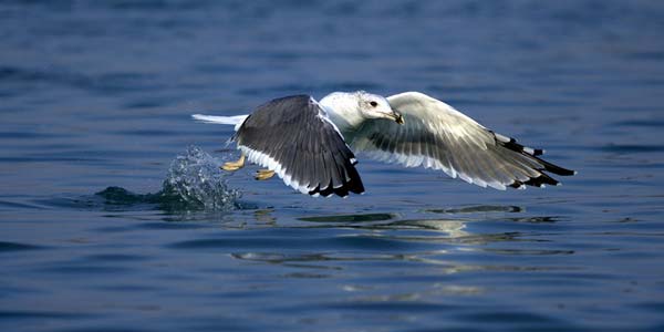 حسین حیدرپور – عکس ۳