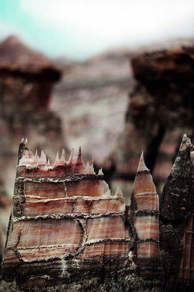 آریادخت جهان بخشان – عکس ۵