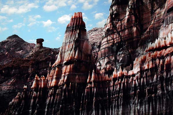 آریادخت جهان بخشان – عکس ۶