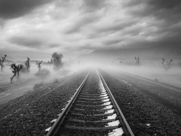 سیدعلی هاشمی،	بندر عباس