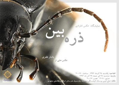 نمایشگاه عکس یاشار ظفری در مشهد