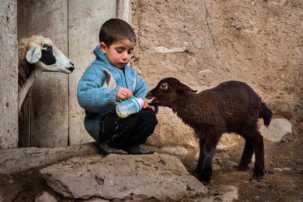 مهران چراغچی – عکس ۴