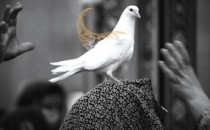 فراخوان سومین جشنواره سراسری عکس «خانه دوست»