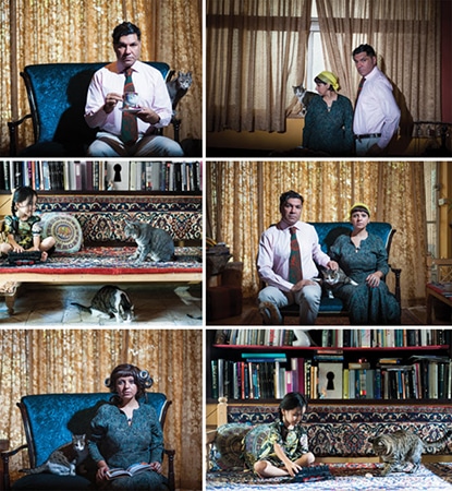نمایشگاه عکس و چیدمان «گربه ایرانی» در گالری اعتماد