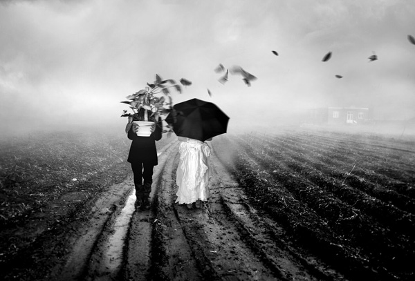 عکس: صمد قربانزاده عکس: صمد قربانزاده