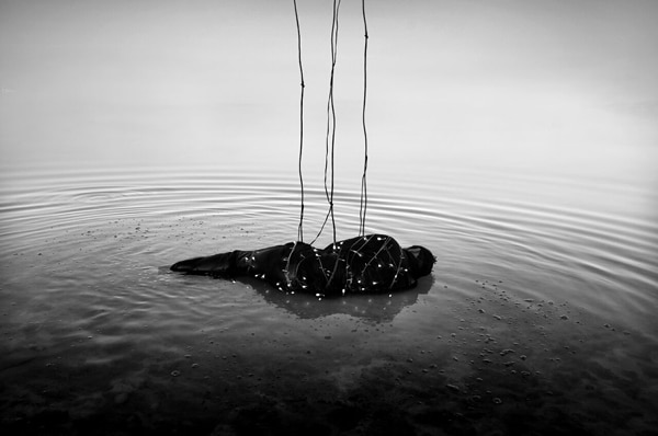 عکس: صمد قربانزاده عکس: صمد قربانزاده