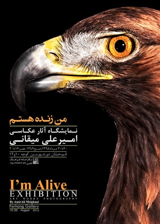 نمایشگاه انفرادی عکس «من زنده هستم» در قم