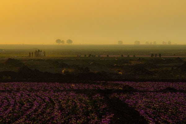 امیر عنایتی – عکس ۲۳