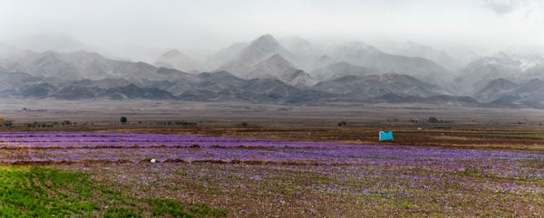 میلاد سمنگانی – عکس ۲