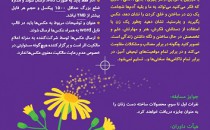 فراخوان مسابقه عکس «تی‌تی‌کا»؛ گلی که از میان سنگ‌ها می‌روید