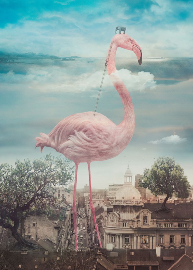 Nikolina Petolas از کرواسی. از مجموعه‌ی «غول‌های آرام»، رتبه اول دسته‌ی «فاین‌آرت» (photomanipulation) در بخش حرفه‌ای مسابقه عکاسی ND 2019