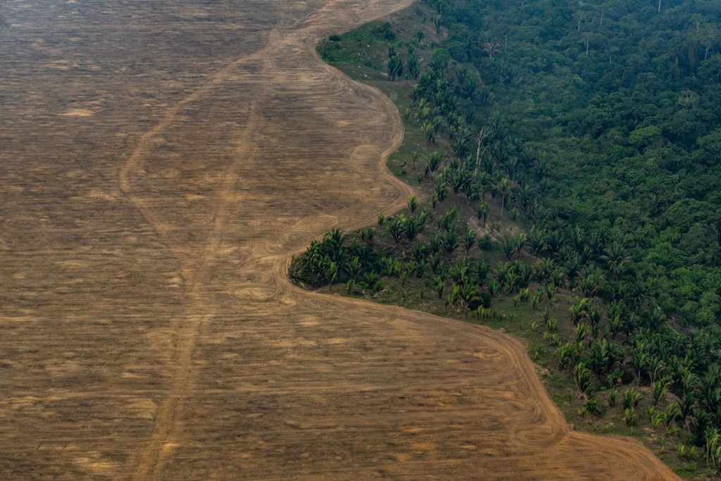 Victor Moriyama. از مجموعه‌ی Amazon Deforestation