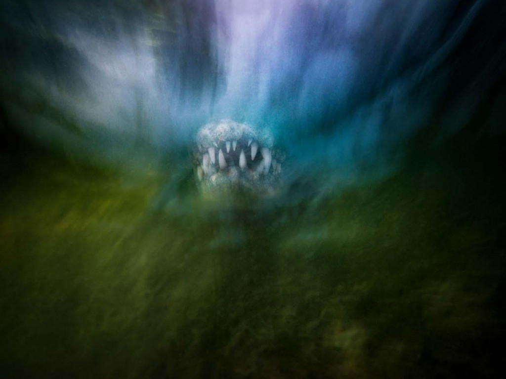 Jacob Degee. امپرسیونیسم کروکدیل. از برگزیدگان بخش «دنیای زیر آب» مسابقه عکاسی عکاس سال حیات وحش اروپا 2020