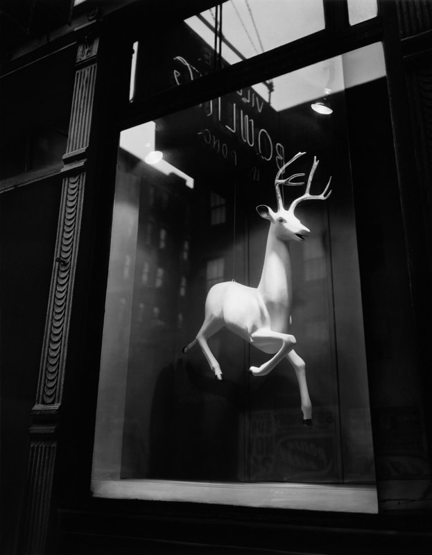 برنیس ابوت. ویترین یک طراح، خیابان بلیکر، نیویورک‌سیتی، 1947