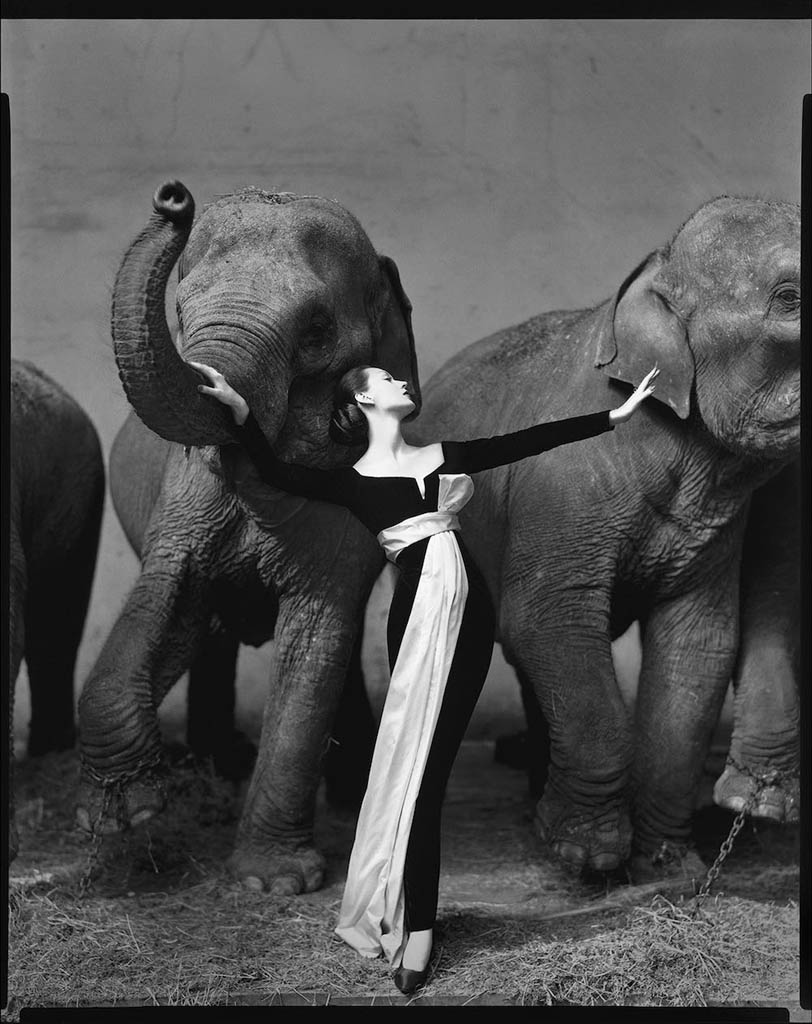 ریچارد اودان. «دویما و فیل‌ها، لباس شب دیور، سیرک زمستانی، پاریس»، آگوست 1955