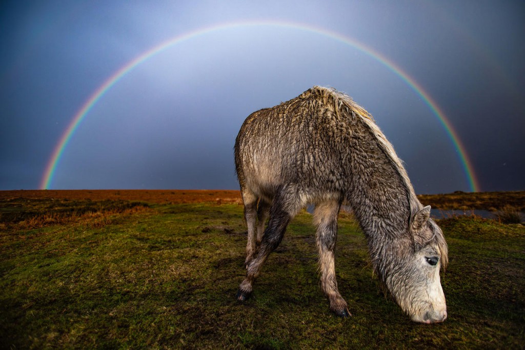 Joann Randles. «زیر رنگین‌کمان»، مقام سوم بخش آرای عمومی Weather Photographer of the Year 2020