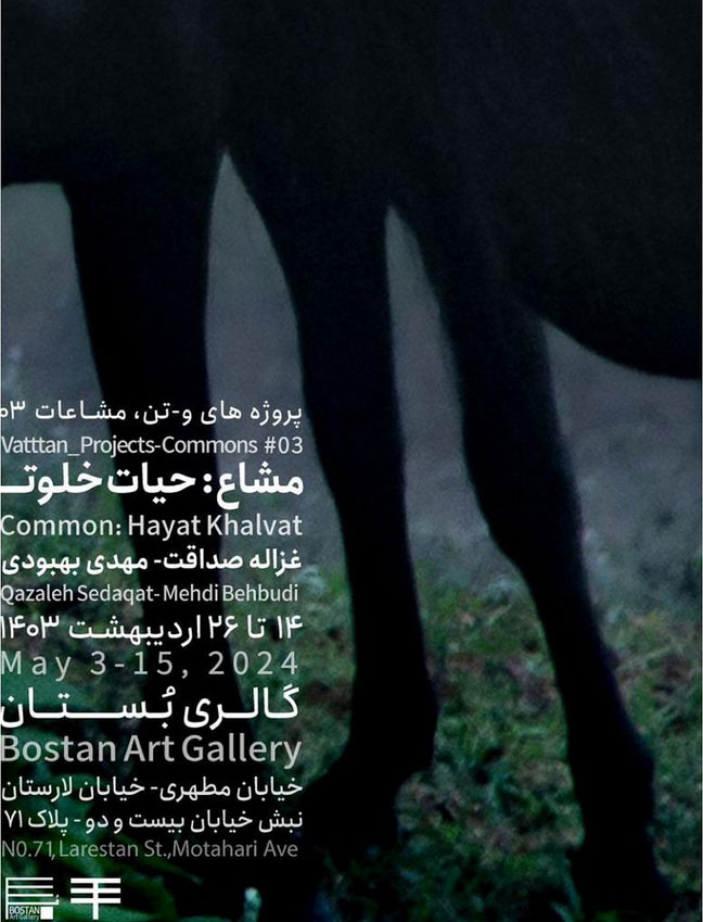 نمایش عکس غزاله صداقت در گالری بُستان به روایت پروژه‌های و-تن