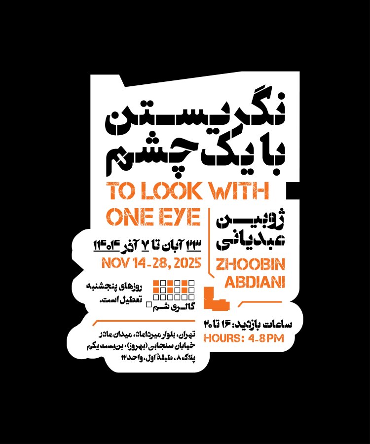 نمایشگاه «نگریستن با یک چشم» ژوبین عبدیانی در گالری شم