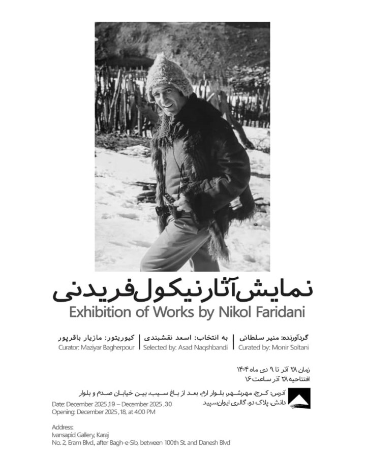 نمایش آثار نیکول فریدنی در گالری ایوان سپید