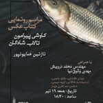 رونمایی از کتاب عکس «کاوشی پیرامون تالاب شادگان؛ سایه‌ها در هم‌سازی»